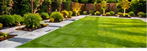 Illustrative example of Garden Improvements
